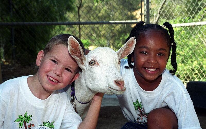 Two smiling children wearing matching camp T-shirts sit with their arms around a white goat