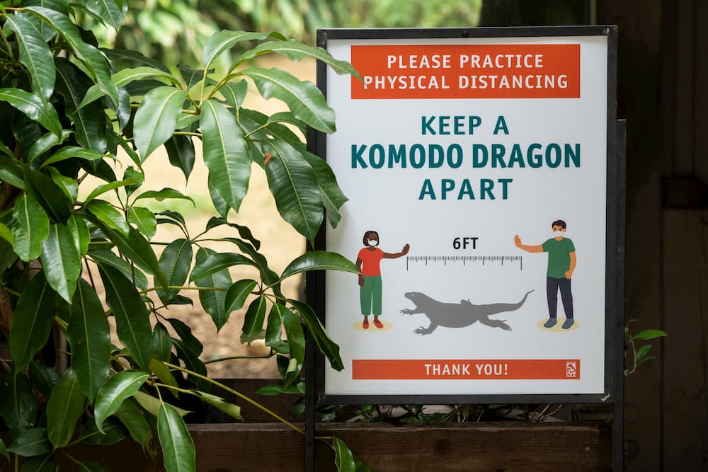 sign reading "please practice physical distancing - keep a komodo dragon apart" with an illustration of two masked people standing six feet apart