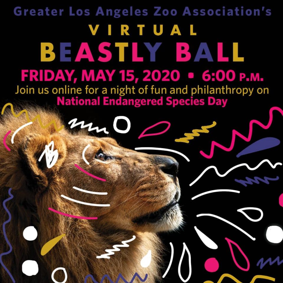 logo for a virtual fundraising event called the Greater Los Angeles Zoo Association's Virtual Beastly Ball featuring a lion with colorful squiggles and text