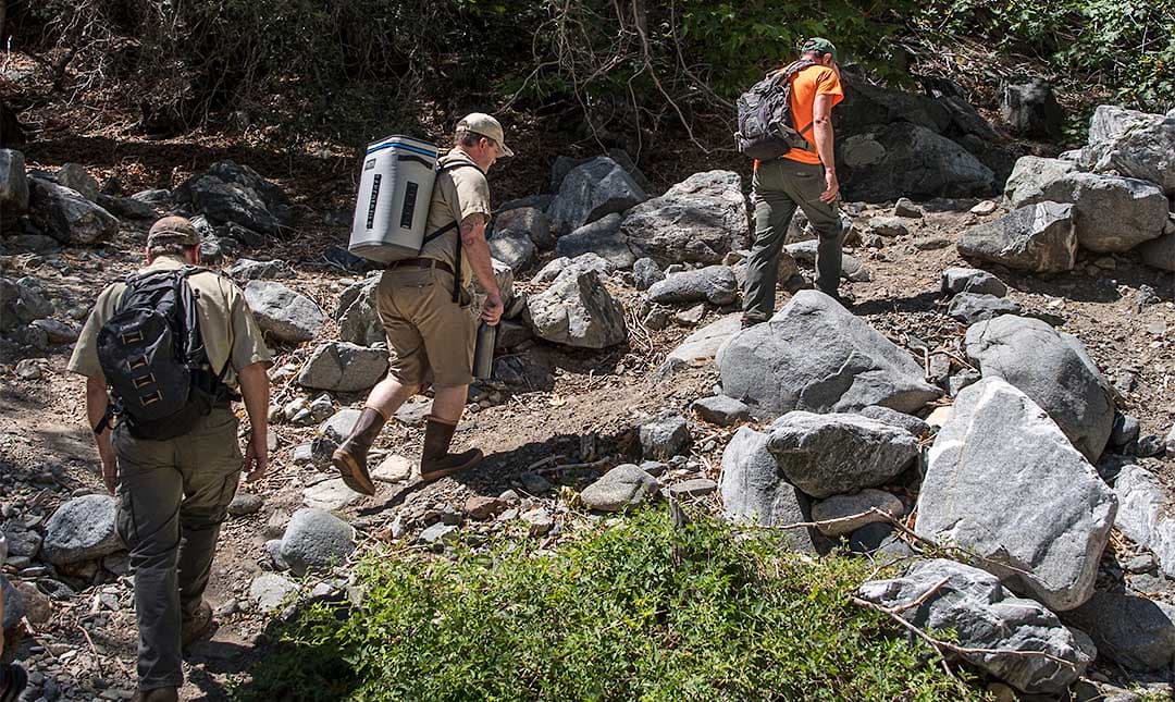 LA Zoo staff hiking to release southern mountain yellow legged frogs in the wild.