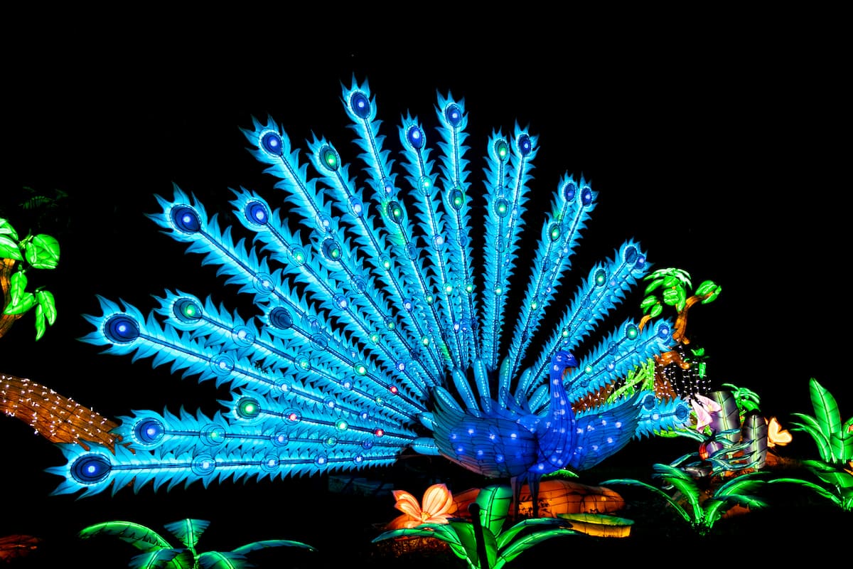 Peacock lantern in blue
